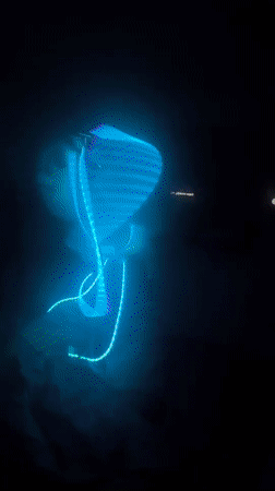 Late-night light ribbon dance performance captured in Mexico City