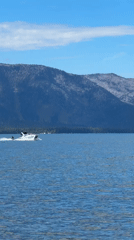 Summer afternoon on Lake Tahoe: kayaks, paddleboards, and a water skier
