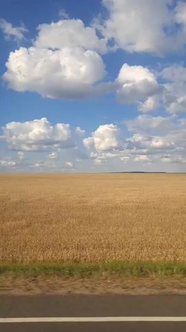 The video shows a wide, flat field of dry grass, possibly wheat or barley, under a bright blue sky dotted with fluffy white clouds. A dark gray strip, likely a road, runs along the bottom of the frame, with a narrow strip of green grass between the field and the road. A single white pole with a dark top rises from the grass near the center of the frame. The perspective suggests the video was taken from a moving vehicle. The scene is serene and expansive, conveying a sense of rural landscape.