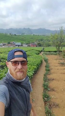 A man in a navy baseball cap, sunglasses, and a dark vest smiles at the camera while standing in a tea field. He has a ginger beard and a neck gaiter. The tea plants are lush and green. Behind him, a dirt path leads to other people. A small village of houses with red roofs lies beyond the tea fields, with mountains visible in the distance. The sky is overcast.