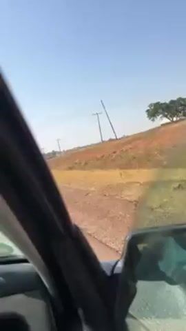 The video shows a view from inside a moving car, likely the driver's perspective, looking out the front windshield. The car is traveling on a paved road through a rural area. The landscape is predominantly dry, with reddish-brown soil and sparse, yellowed vegetation. Wooden utility poles run alongside the road, with wires strung between them. The sky is clear and blue. At one point, a person riding a yellow bicycle is visible to the right of the road, passing the car.