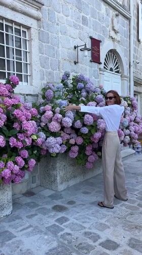 Woman photographed near blooming hydrangeas in Perast, Montenegro