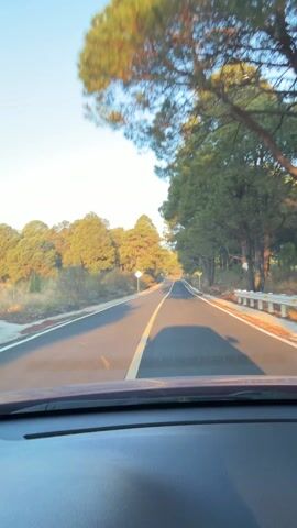The video shows a driver’s point of view as a car travels on a paved road. The road is lined with trees, illuminated in the light of the setting sun. In the distance, a snow-capped mountain can be seen emitting a plume of smoke. The sky is clear and blue. The dashboard of the car is visible in the foreground. Road signs are present on either side of the road.