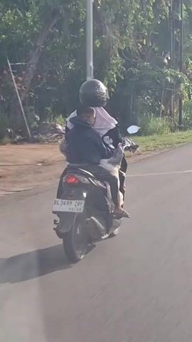 The video shows two people riding a motorcycle on a paved road. The person in front, presumably the driver, is wearing a helmet and a light-colored head covering. They are also wearing a dark jacket. The person in the back is a child, also wearing a dark jacket. The child is sitting in front of the driver, facing forward, and appears to be holding onto the driver. The motorcycle has a license plate that reads "BL 3699 ZBF". The environment appears to be rural, with trees and vegetation visible on the sides of the road. The lighting suggests it is daytime, possibly late afternoon, with sunlight creating some glare. The footage is shaky, indicating it was likely filmed from another moving vehicle.
