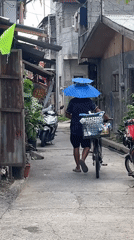 Street life, street food, and stray cats in Davao City