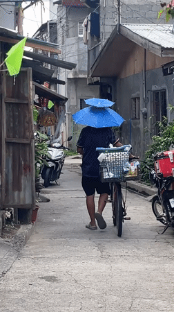 Street life, street food, and stray cats in Davao City