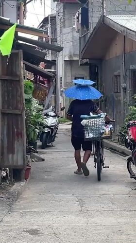 Street life, street food, and stray cats in Davao City
