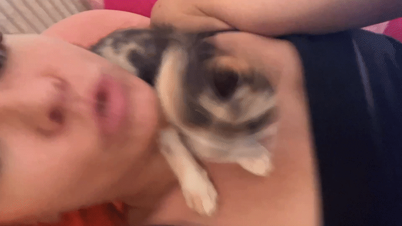 Woman cuddles calico kitten in tender moment in Kuta