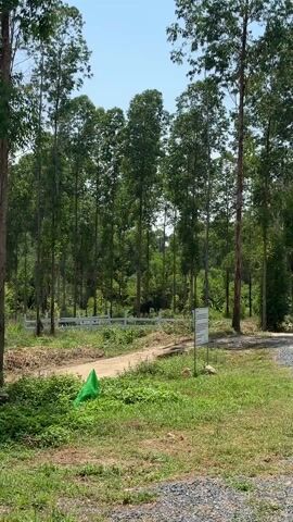 The video shows an elephant walking past a white fence in a wooded area. The elephant is dark in color and is moving from left to right behind the fence. The trees are tall and green, and the area is overgrown with vegetation. The ground is covered with dirt and grass. There is a dirt road visible in the foreground.