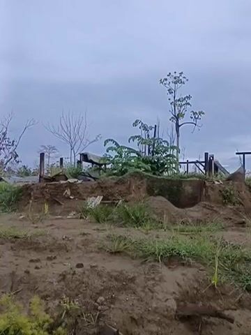 The video shows an outdoor scene of a partially damaged building and its surroundings. The building appears to be a house, with a visible roof and windows. There are signs of structural damage, with some parts of the building appearing collapsed or in disrepair. The surrounding environment is overgrown with grass and vegetation, and there is evidence of erosion or soil disturbance. Palm trees are visible in the background, suggesting a tropical or subtropical climate. The sky is overcast, indicating a cloudy day. The scene appears to be deserted, with no people visible in the video. The overall impression is one of neglect or damage to the property.