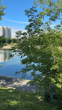 Baby swimming lesson and park visit at Moscow's Kirovogradskie Prudy