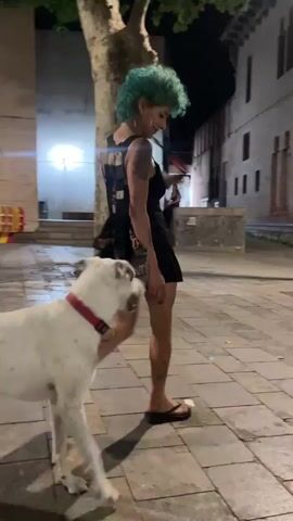 A person with bright green hair, wearing a black dress and flip-flops, is walking a white dog on a leash at night. The person is holding a black umbrella. The dog is a medium-sized, white canine with a red collar. They are walking on a paved sidewalk next to a tree. In the background, there are buildings and streetlights, suggesting an urban environment. Another person is visible sitting on steps in the distance. The scene appears to be in a town or city, possibly in Europe, given the architecture. The overall mood is casual and relaxed.