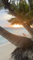 Sunset captured at tropical beach in Ukulhas, Maldives