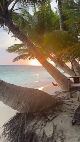 The camera pans across a tropical beach scene at sunset. The beach has light sand, gentle turquoise waves, and several leaning palm trees. A small red-and-yellow swing hangs from one of the palm trees. The sun is setting on the horizon, reflecting golden light on the water. There are a few distant figures visible in the water.