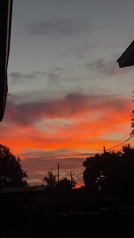 A time lapse video of a sunset. The sky is filled with vibrant orange and pink clouds, with a few wispy grey clouds scattered throughout. The sun is setting behind a silhouette of trees and buildings, casting a warm glow. A single bird can be seen flying in the distance. The video is shot from an elevated position, looking out over a residential area.