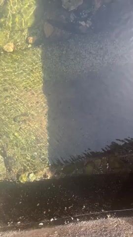 A top-down shot of shallow, clear water flowing over rocks and gravel. The water is slightly murky in some areas and reflects sunlight on the left side of the frame. Rocks are visible at the bottom and along the edges of the water. A small cascade of white water is visible at the top of the frame, suggesting the source of the flow.