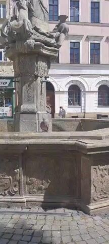 The video shows a pigeon standing on the edge of a stone fountain. The fountain is ornate with carvings and a statue on top. Water is flowing from the fountain. In the background, there is a building with arched windows and a person standing in a doorway. The scene appears to be a public square.