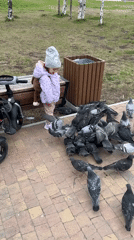 Child feeds pigeons in Uray park with stuffed monkey companion