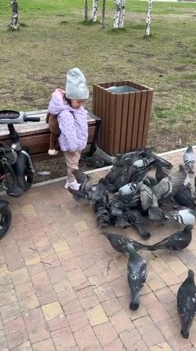 Child feeds pigeons in Uray park with stuffed monkey companion