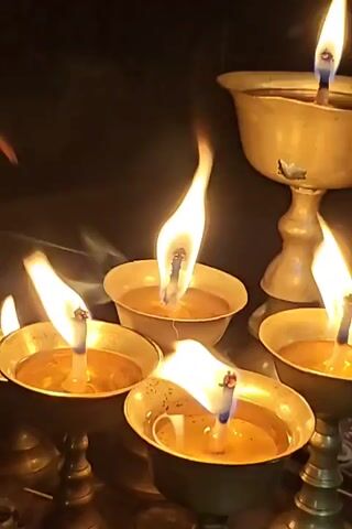 The video displays a close-up view of several burning butter lamps. The lamps are made of brass and are filled with a golden-colored liquid, likely clarified butter. Each lamp has a wick burning with a bright yellow and orange flame, some of which are flickering and producing thin wisps of smoke. The lamps are arranged in a cluster, with some in the foreground and others further back, creating a sense of depth. The background is dark and out of focus, drawing attention to the illuminated lamps. The lighting is dim, with the flames of the lamps being the primary light source. The overall atmosphere appears serene and perhaps spiritual, given the nature of butter lamps often used in religious ceremonies.