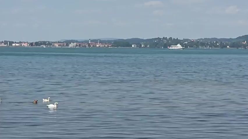 A wide shot captures a serene lake under a clear sky with scattered clouds. In the foreground, several water birds, including swans and ducks, glide gracefully on the rippling water. Further in the distance, a white ferry or passenger boat sails across the lake. Along the shoreline, a picturesque town or village unfolds with buildings and green hills forming the backdrop. The scene conveys a sense of peacefulness and natural beauty.