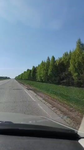 A car travels on a grey, worn asphalt road under a clear blue sky. The road is bordered on the right by a strip of green grass and a line of young green trees. The video is taken from the driver's perspective, showing the dashboard of the car. The road stretches into the distance, appearing empty except for the faint outline of another vehicle far ahead.