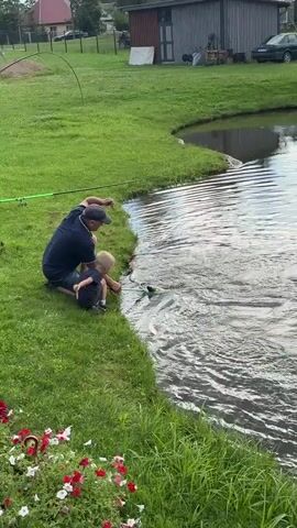 A man and a young boy are fishing by a pond. The man, wearing a dark blue polo shirt, shorts, and a baseball cap, is kneeling on the grassy bank, holding a fishing rod and a net. The boy, in a dark t-shirt and shorts, sits beside him, also holding a fishing rod. A large fish is thrashing in the water, caught in the net, creating a splash. The sun appears to be shining, suggesting it's daytime, and the grass is green and lush, indicating a pleasant weather day. In the background, there's more grass, a white tent-like structure, and a building. The overall scene suggests a peaceful outdoor activity, likely a family outing for fishing.