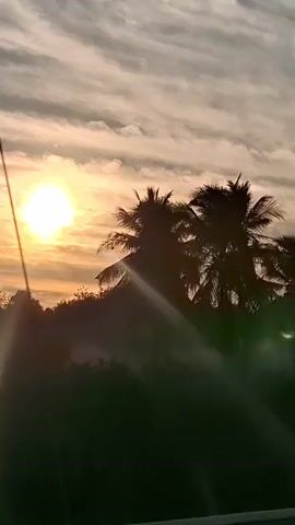 The video shows a view of a sunset with silhouettes of palm trees against a cloudy sky. The sun is low on the horizon, casting a warm glow and lens flares. A road sign with blue text is partially visible on the right side of the frame. The overall scene is tranquil and evokes a tropical atmosphere.