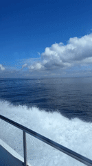 Boat journey recorded in calm Indonesian waters