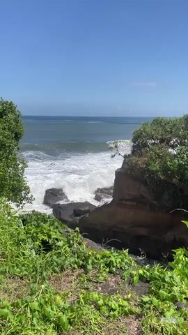 A vertical video captures a rocky coastline with waves crashing against dark rocks. Lush green foliage frames the scene in the foreground. The ocean is a deep blue, and the sky is clear. The waves are white and foamy as they break on the shore. There are no people or man-made objects visible in the video. The overall atmosphere is natural and serene.