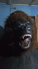 Gorilla costume, car gathering recorded in Jos Nigeria