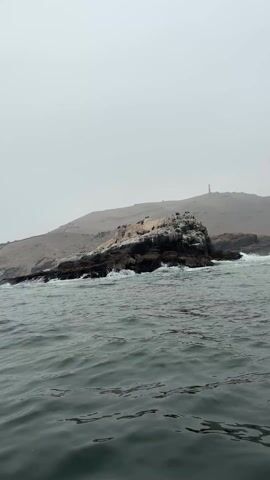 The video depicts a rocky island populated by birds, being battered by waves on a foggy day. The water is choppy. In the background, a hill is visible, topped by what appears to be a lighthouse. A few birds are seen flying overhead. The video is shot from the vantage point of a moving vessel.