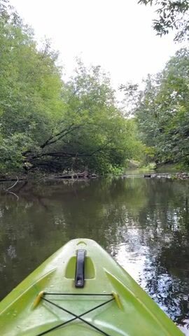 A first-person perspective video shows the front of a green kayak moving down a calm river. The banks of the river are lined with lush green trees, some of which overhang the water. The sky is overcast and bright. The water is dark and reflective, mirroring the trees and the sky. There are a few fallen logs and rocks visible in the water and along the banks. The kayak appears to be moving at a slow, steady pace. There are no people or animals visible in the video.