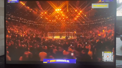 UFC Championship Fight Broadcast Witnessed in Novi Sad