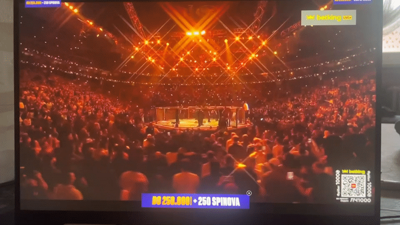 UFC Championship Fight Broadcast Witnessed in Novi Sad