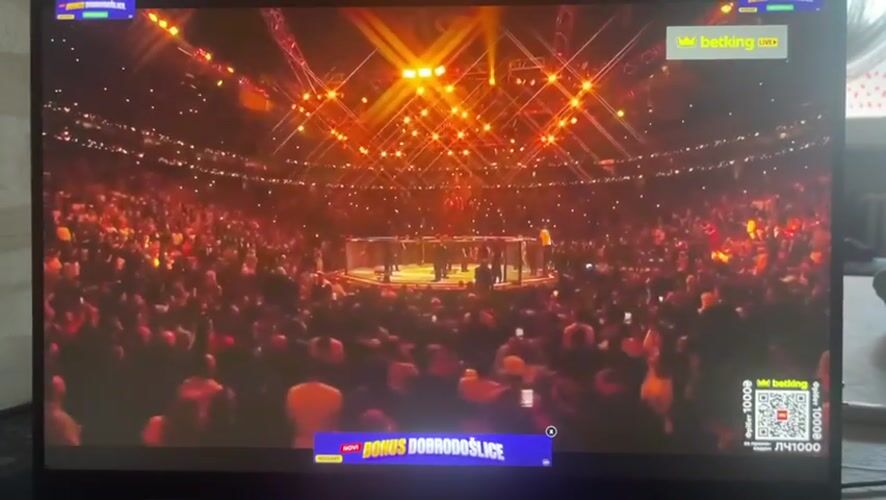 UFC Championship Fight Broadcast Witnessed in Novi Sad
