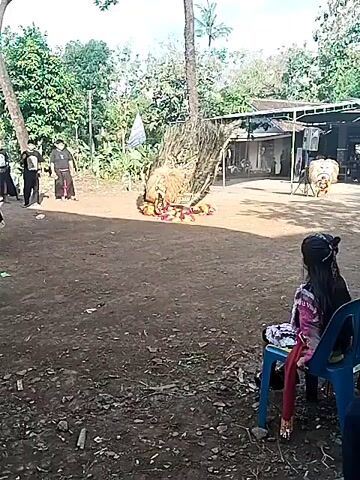 The video depicts a cultural performance in what appears to be an outdoor setting in Indonesia.

A performer dressed in an elaborate, colorful costume with a large headdress is seen dancing in a dirt yard. The costume features red and yellow patterns and the headdress consists of straw or similar organic materials. In the background, there is a simple structure, possibly a house or pavilion, with open sides. Sound equipment, including speakers, is visible under the roof of the structure.

Two people dressed in dark clothing stand to the left of the performer, appearing to be overseeing the performance. In the foreground, a young girl with dark hair, wearing a purple and red patterned dress, sits on a blue plastic chair, watching the performance. The setting includes trees, foliage, and a partial view of a blue sky with clouds. A flag is visible in the background, adding to the sense of a local cultural event.