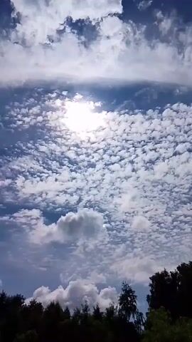 The video shows a view of the sky from the ground, with trees forming a dark silhouette at the bottom of the frame. The sky is filled with clouds, ranging from small, puffy clouds scattered across the upper portion of the frame to larger, cumulus clouds closer to the horizon. The sun is visible, partially obscured by clouds, casting a bright light that creates a lens flare in the lower right portion of the frame. The clouds appear white and light gray against a blue sky. The trees are dark green and appear to be deciduous, with some lighter green leaves visible in the foreground on the right side of the frame. The camera angle is looking upwards. The video appears to be a time-lapse or slow-motion recording, as the clouds seem to be moving or changing shape subtly over the short duration of the clip. There are no people or animals visible in the video.