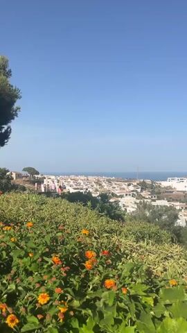 The video is a static shot looking out over a coastal town on a clear, sunny day. In the foreground, there is lush green foliage with bright orange flowers. In the mid-ground, a sprawling white-and-tan town with red-tiled roofs stretches towards the coast, interspersed with trees. Further in the distance, the blue ocean meets the horizon under a clear blue sky. There are no people or animals visible in the video.