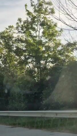 This media file shows a view from a vehicle, likely driving along a road. The scene is dominated by trees and foliage, with a white guardrail visible in the foreground. The sky is overcast with wispy clouds, suggesting a temperate or possibly humid day. Sunlight filters through the trees, creating dappled light and shadows. The foliage appears lush and green, indicating it is likely spring or summer. The presence of a guardrail and the perspective from a moving vehicle suggest the location is a roadside, possibly in a rural or semi-rural area outside of a city. The overall mood is one of a peaceful, nature-filled drive. There is no visible text in the media file.