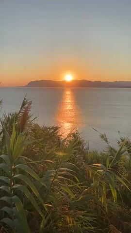 A tranquil scene unfolds with a sunset over the ocean. The sun, a vibrant orange orb, is positioned low on the horizon, casting a shimmering path of light across the water. In the foreground, lush green foliage, including tall reeds and broad leaves, sways gently in the breeze, framing the view. The sky transitions from a clear, soft blue at the top to a warm gradient of orange and yellow as it nears the horizon. Distant hills or mountains are silhouetted against the bright sky. The overall atmosphere is serene and peaceful, evoking the end of a day.