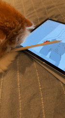 Cat inspects digital artwork on tablet in Barcelona
