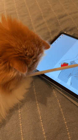 Cat inspects digital artwork on tablet in Barcelona