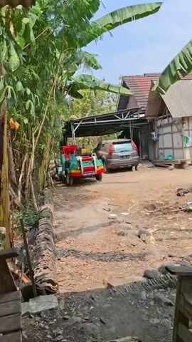 A small, brightly colored truck, painted green with red and yellow accents, is parked on a dirt path next to a larger dark-colored SUV. The truck appears to be a modified vehicle, possibly for utility or transport, with a visible license plate. The SUV is parked under a covered shelter with a metal roof. The environment is outdoors, with lush green foliage, including large banana leaves, visible on the left side of the frame. The ground is covered in dirt and some scattered debris. In the background, there are structures that appear to be houses or sheds with wooden walls and tiled roofs. The scene is illuminated by natural daylight, suggesting it is daytime. The camera is positioned at a slightly elevated angle, looking down at the vehicles and the surroundings. There are no people visible in the video. The overall impression is a rural or semi-rural setting.