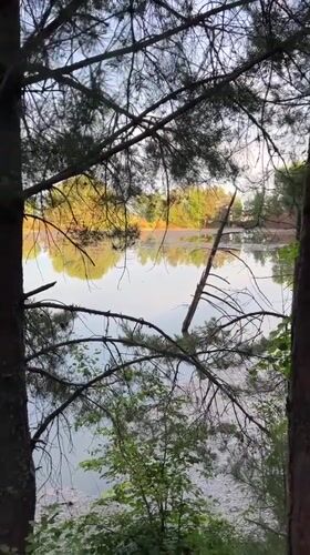 Man filmed looking skyward with awe in Russian woodland