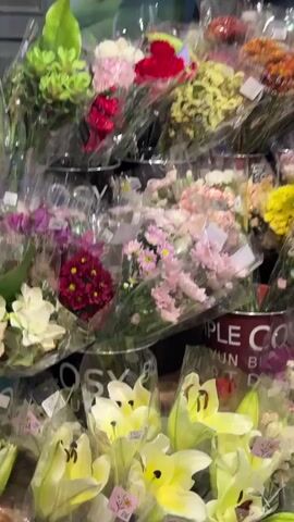 The video shows a close-up, eye-level view of a flower display in what appears to be a store. The flowers are arranged in buckets and wrapped in clear plastic. Different varieties and colors of flowers are visible, including pink carnations, yellow lilies, red carnations, green foliage, and yellow and orange mums. Some of the buckets have text on them, but it is partially obscured. The lighting is bright and appears to be artificial. The camera is steady and does not move significantly throughout the short clip. There are no people visible in the frame. The focus is on the abundance and variety of the floral offerings.