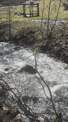 Person crosses red bridge in Zheleznitsa forest stream area