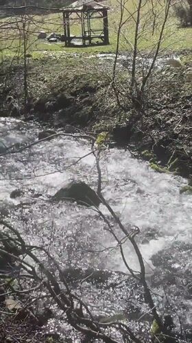 Person crosses red bridge in Zheleznitsa forest stream area