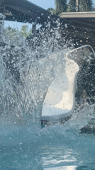 Morning swim session at Khok Kloi pool facility