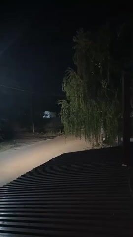 A car drives down a dark road at night. The car's headlights illuminate the road. A tree with drooping branches is on the right side of the road. A corrugated metal roof is in the foreground.